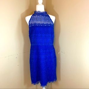 BB Dakota Lace dress Navy